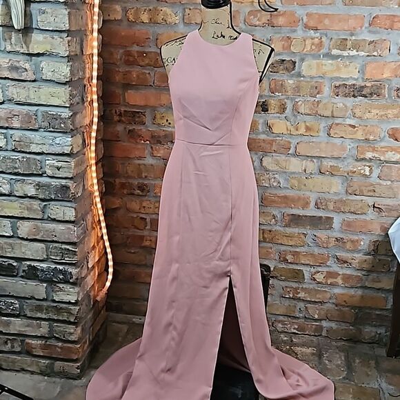 NWT Dessy Collection Desert Rose Crepe Open Back maxi Gown size 4 - Picture 4 of 14
